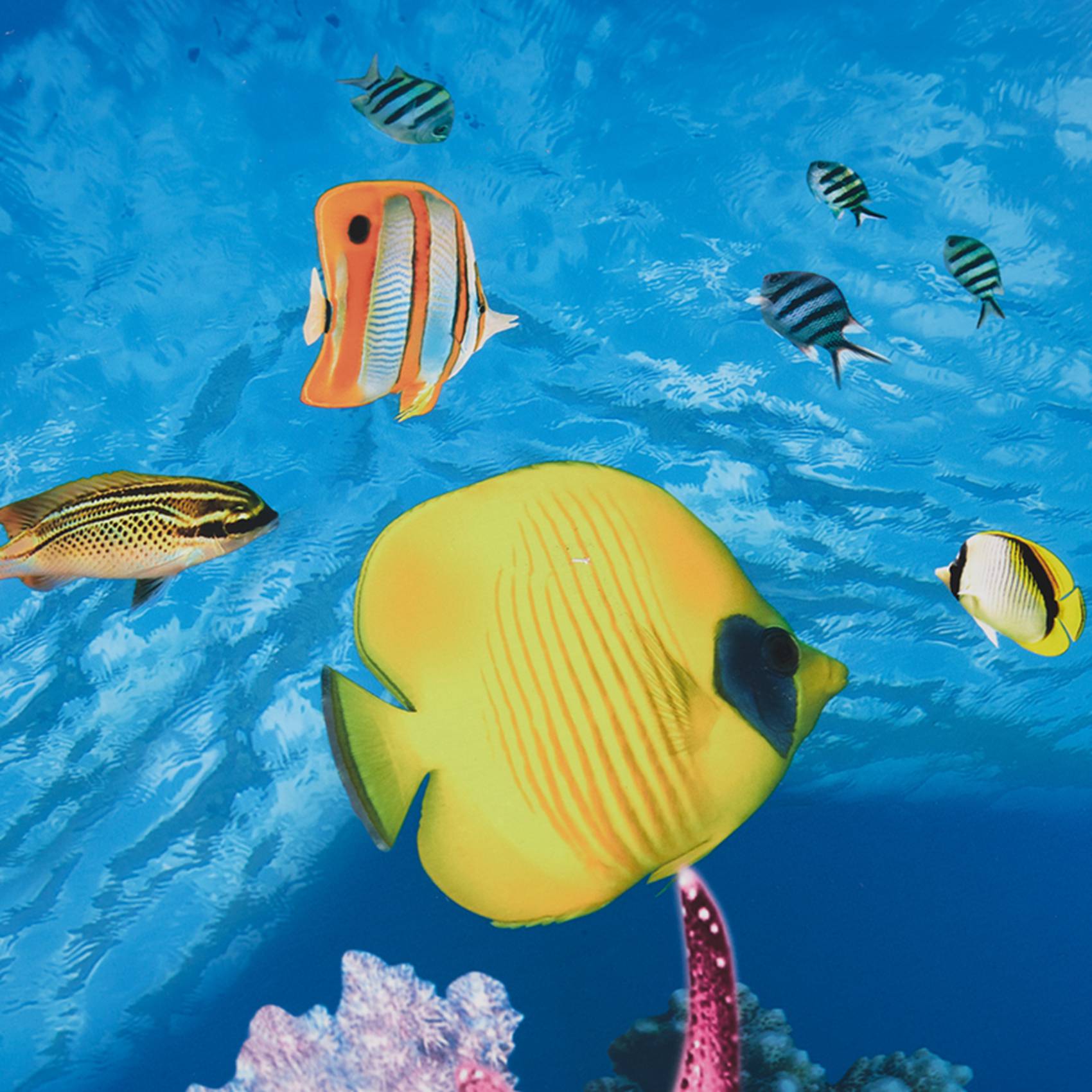 Fish In Aquarium Picture - กระดาษตกแต่งตู้ปลา BAAU ภาพ HD 7D วอลเปเปอร์ตู้ปลาสามมิติ