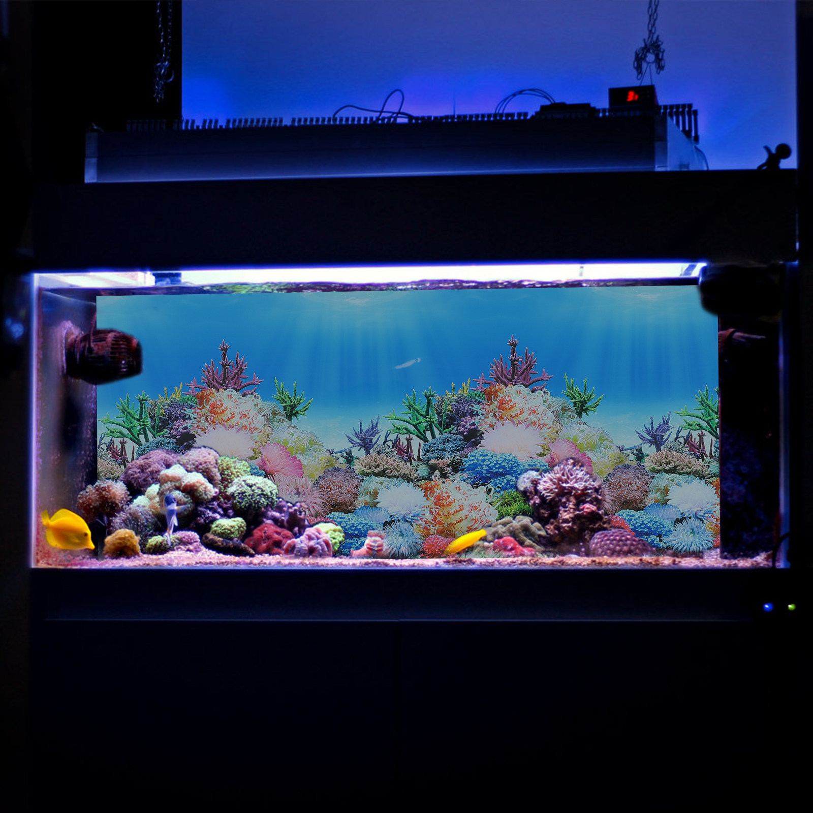 Fish In Aquarium Picture - กระดาษตกแต่งพื้นหลังตู้ปลา DIY ฟิล์มติดผนังตกแต่งภาพพิมพ์ลาย