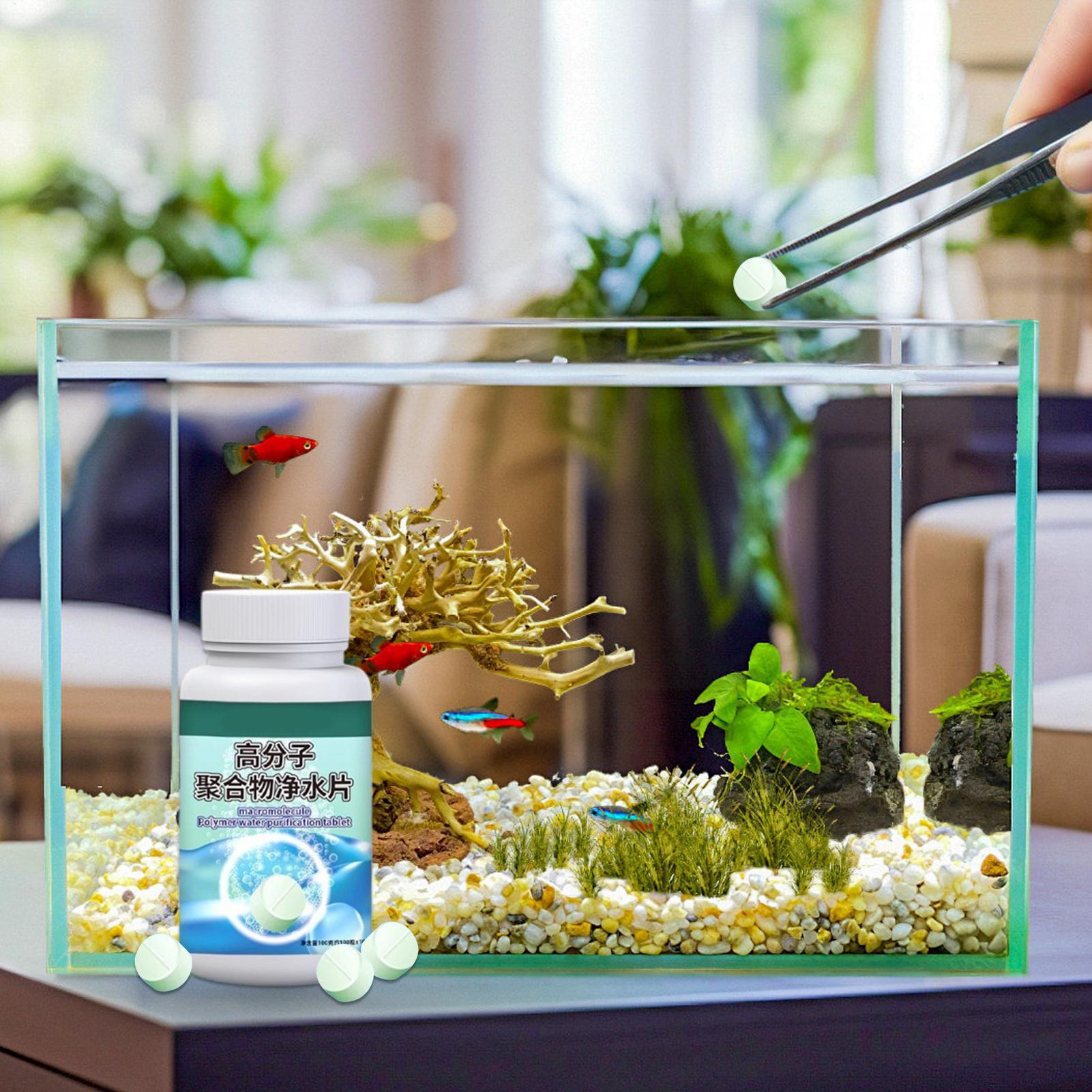 ยาเม็ดกำจัดตะไคร่น้ำในตู้ปลา ย - Aquarium Fish Betta บทวิจารณ์และราคา