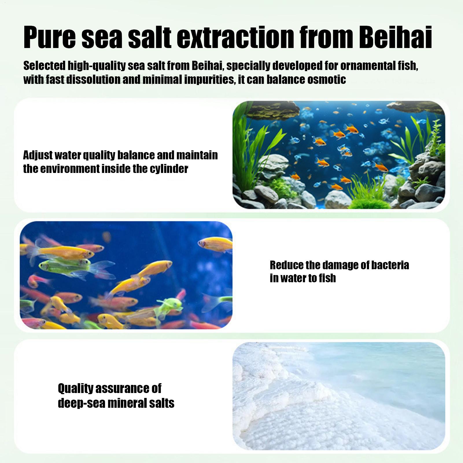 ยาเม็ดกำจัดตะไคร่น้ำในตู้ปลา ย - Aquarium Fish Betta บทวิจารณ์และราคา