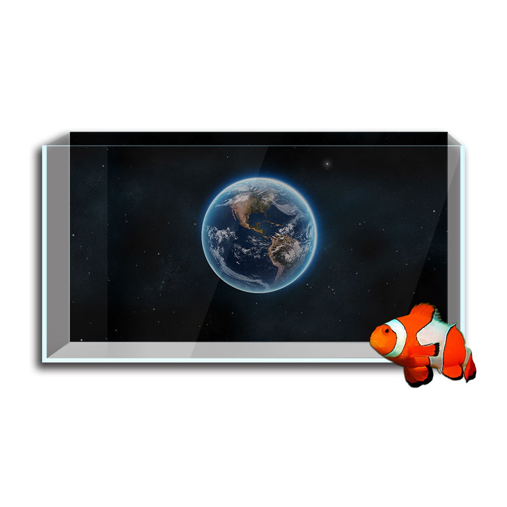 Aquarium Fish Tank สติ๊กเกอร์ต - Aquarium Fish Poster บทวิจารณ์และราคา
