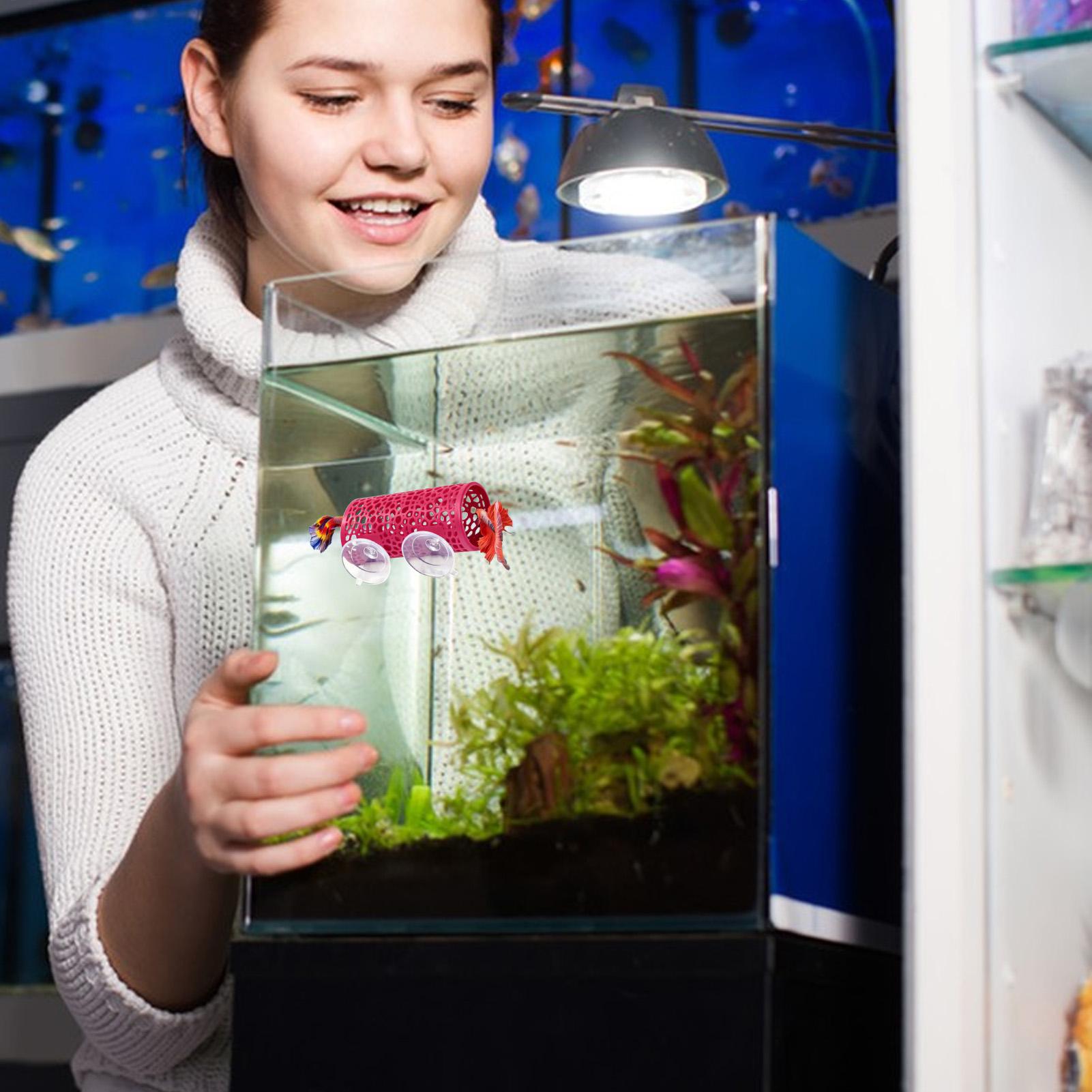 ที่พักพิงตกแต่งตู้ปลา ของเล่นอ - Aquarium Fish Betta บทวิจารณ์และราคา