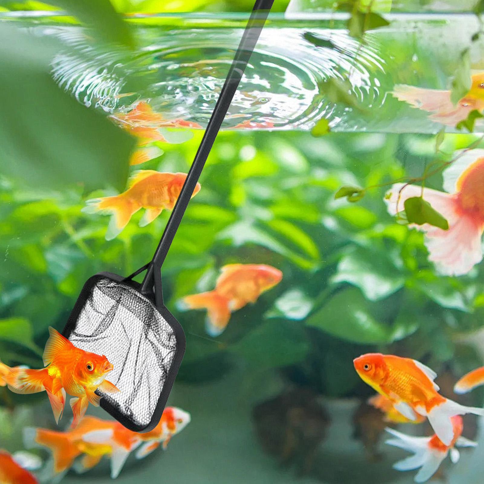 ตาข่ายทำความสะอาดสระว่ายน้ำแบบ - Aquarium Fish Tank Cleaner บทวิจารณ์และราคา