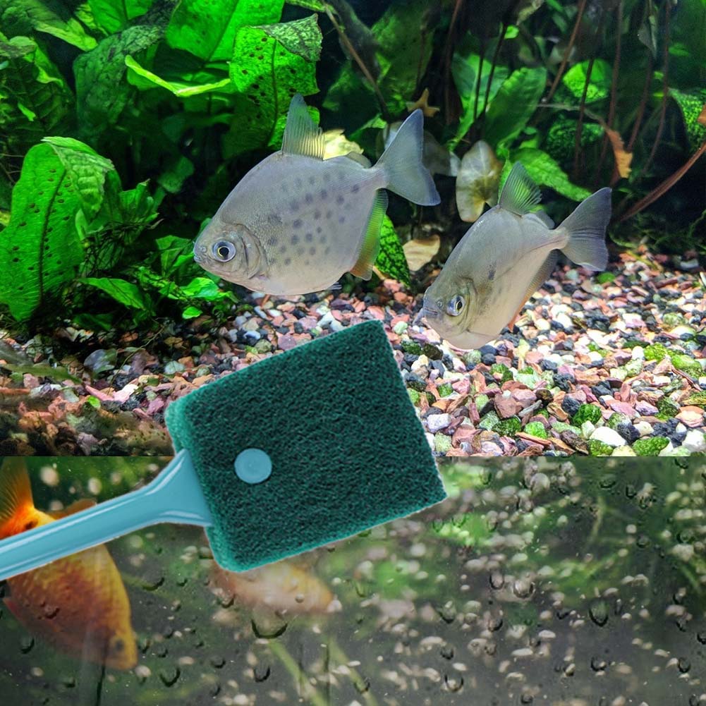 ฟองน้ำทำความสะอาดตู้ปลาแบบสองด - Aquarium Fish Tank Cleaner บทวิจารณ์และราคา