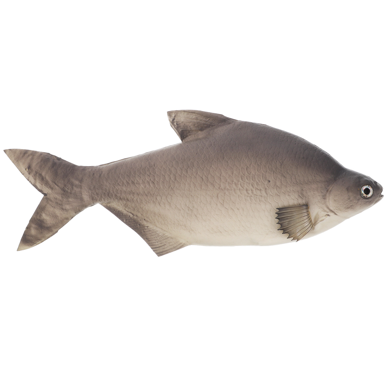ปลาจำลอง PU แบบละเอียดเหมือนจร - Aquarium Fish Market บทวิจารณ์และราคา