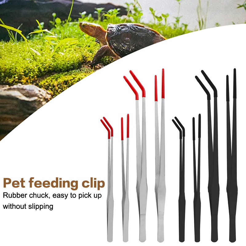 เครื่องมือบำรุงรักษาตู้ปลาสแตน - Aquarium Fish Quarantine บทวิจารณ์และราคา