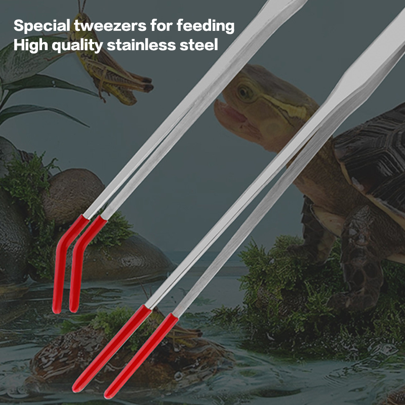 เครื่องมือบำรุงรักษาตู้ปลาสแตน - Aquarium Fish Quarantine บทวิจารณ์และราคา