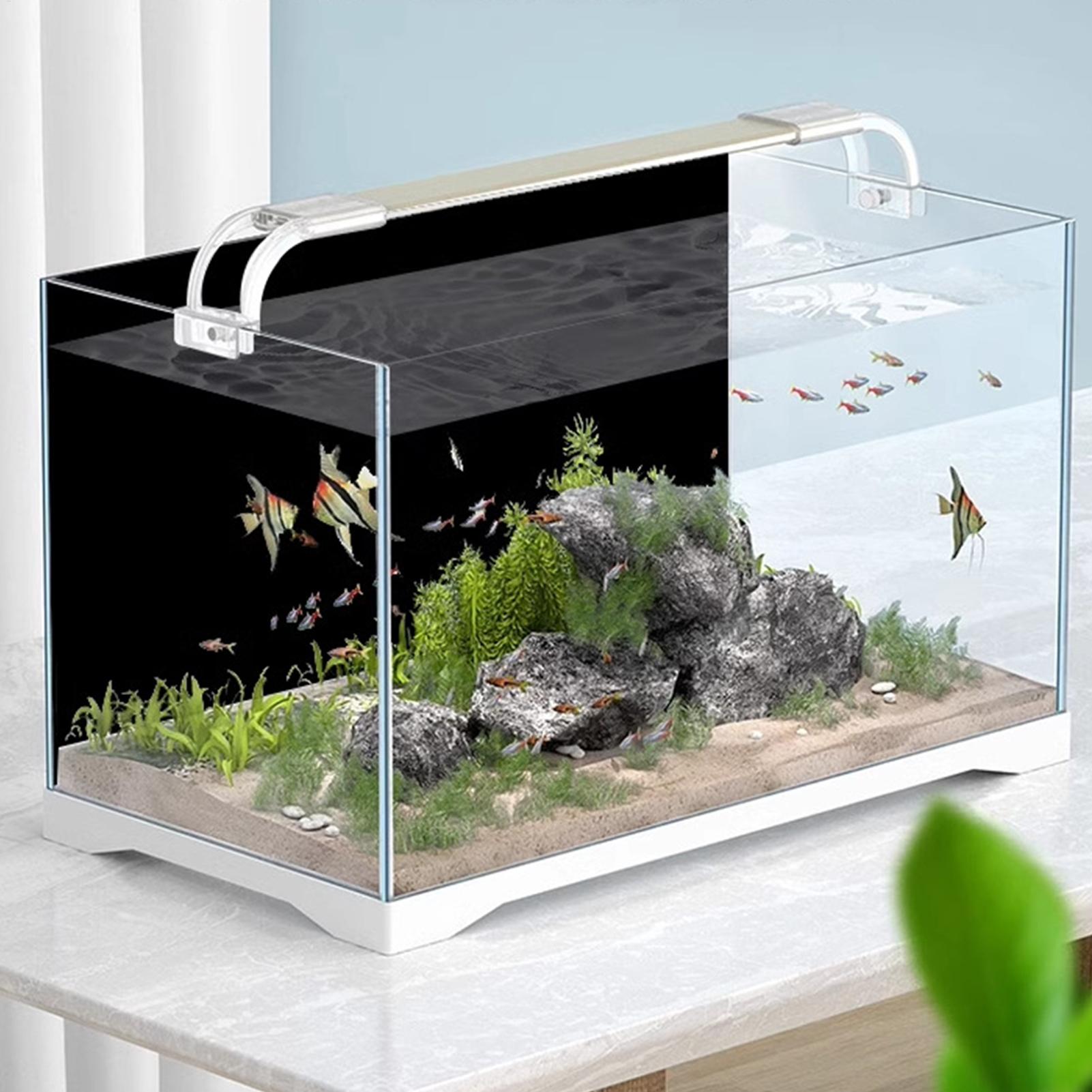 สติ๊กเกอร์ติดพื้นหลังตู้ปลา สี - Aquarium Fish Poster บทวิจารณ์และราคา