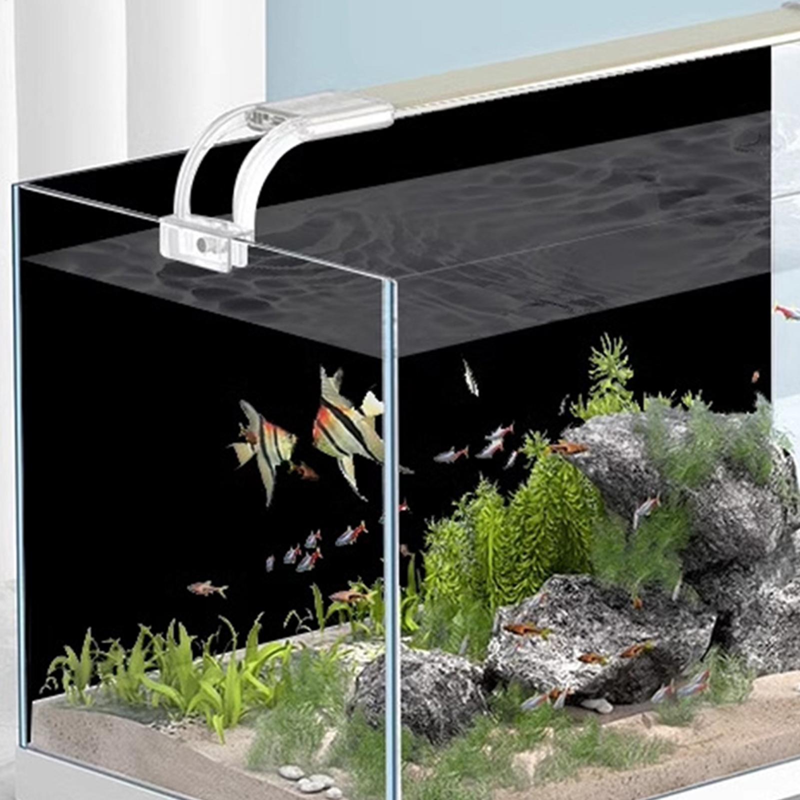 สติ๊กเกอร์ติดพื้นหลังตู้ปลา สี - Aquarium Fish Poster บทวิจารณ์และราคา