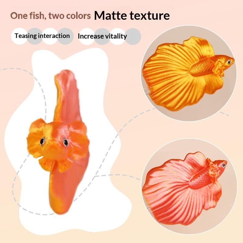 【CC】ไม้ฝึกปลาเบต้าหลากสี ของเล - Aquarium Fish Betta บทวิจารณ์และราคา