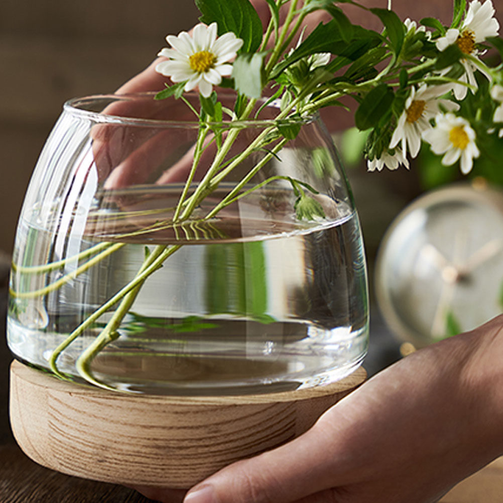ชุดตู้ปลูกพืชไฮโดรโพนิกส์แบบแก - Aquarium Fish Unique บทวิจารณ์และราคา