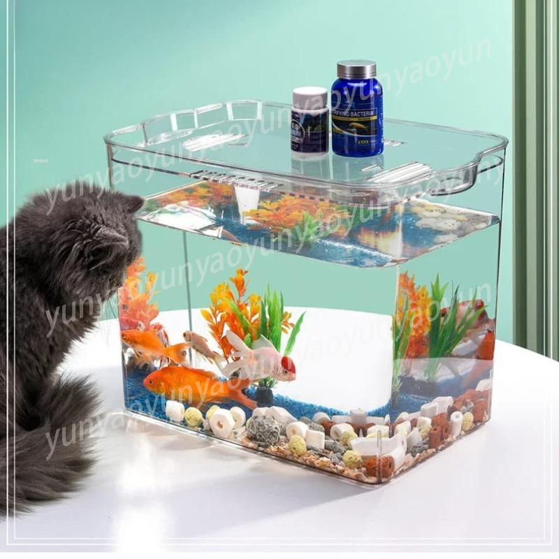 ชามเลี้ยงปลาขนาดเล็กแบบใส ทำจา - Aquarium Fish Unique บทวิจารณ์และราคา