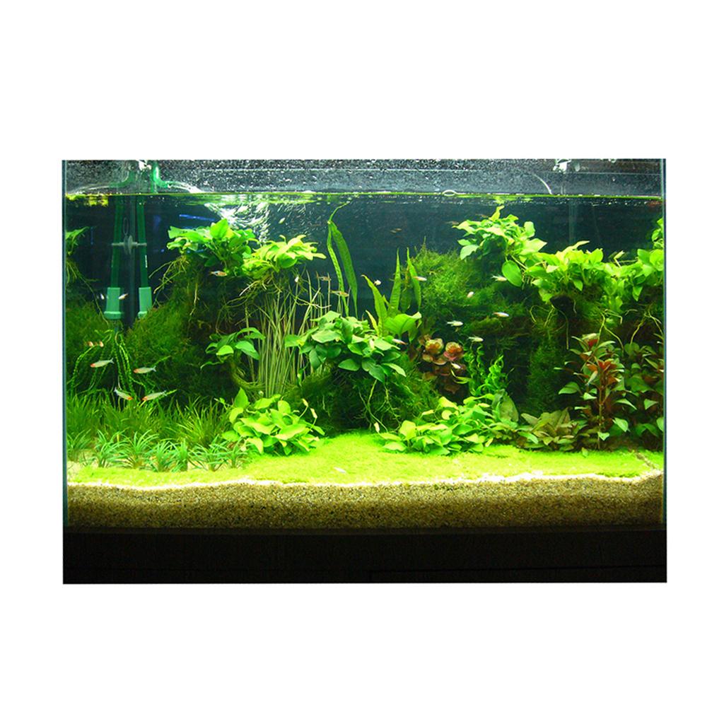 สติกเกอร์พื้นหลัง 3 มิติ สำหรั - Fish In Aquarium Picture บทวิจารณ์และราคา