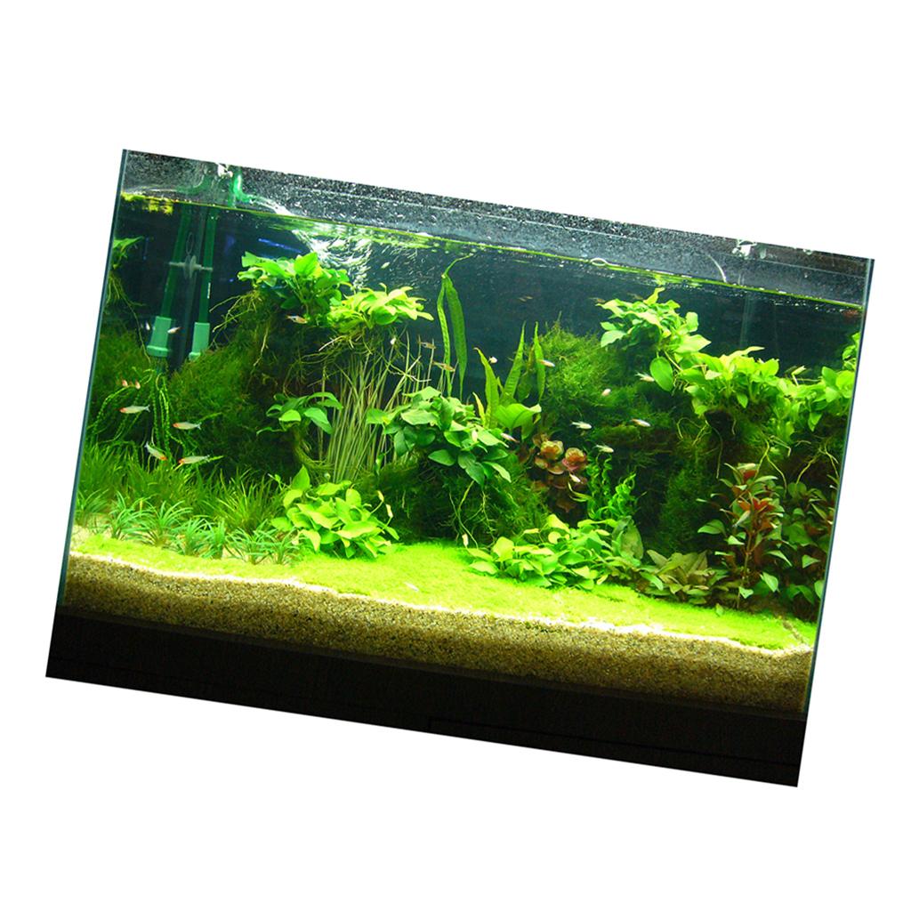 สติกเกอร์พื้นหลัง 3 มิติ สำหรั - Fish In Aquarium Picture บทวิจารณ์และราคา