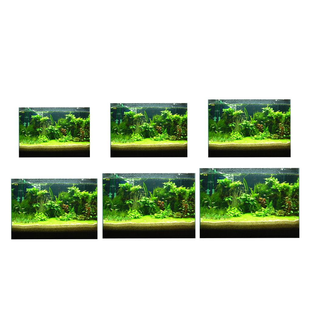 สติกเกอร์พื้นหลัง 3 มิติ สำหรั - Fish In Aquarium Picture บทวิจารณ์และราคา
