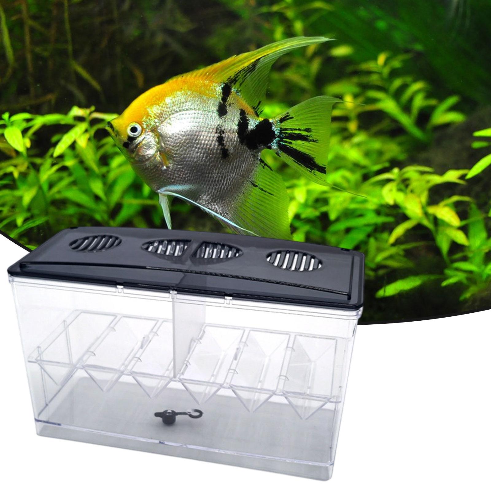 กล่องแยกเพาะพันธุ์ปลาลอยน้ำแบบ - Aquarium Fish Tank Cleaner บทวิจารณ์และราคา
