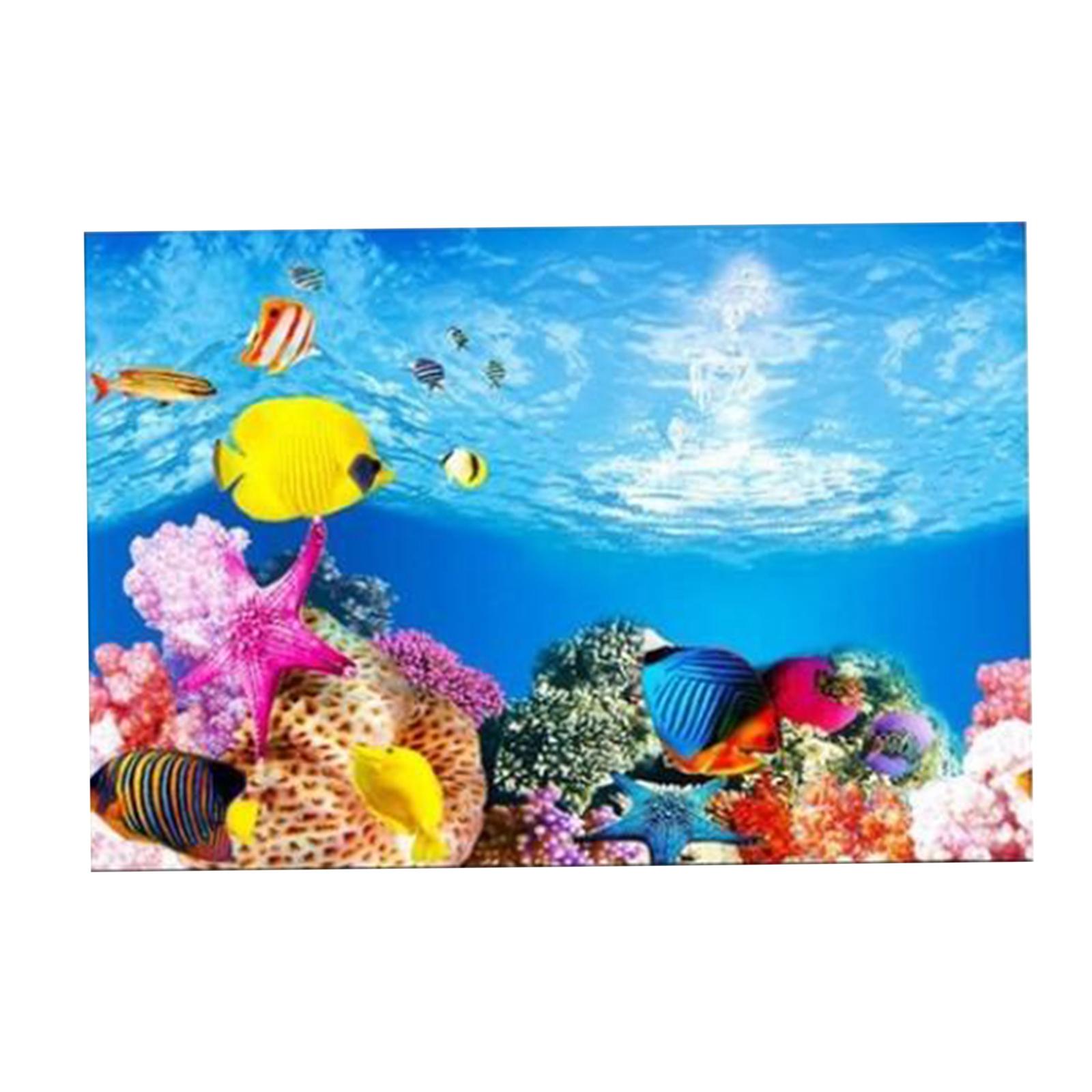 โปสเตอร์พื้นหลังตู้ปลาแบบ 3 มิ - Aquarium Fish Poster บทวิจารณ์และราคา