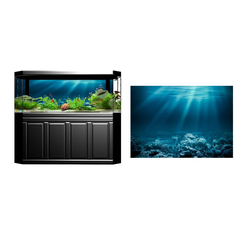 สติ๊กเกอร์ติดตู้ปลา PVC 3D HD  - Fish In Aquarium Picture บทวิจารณ์และราคา