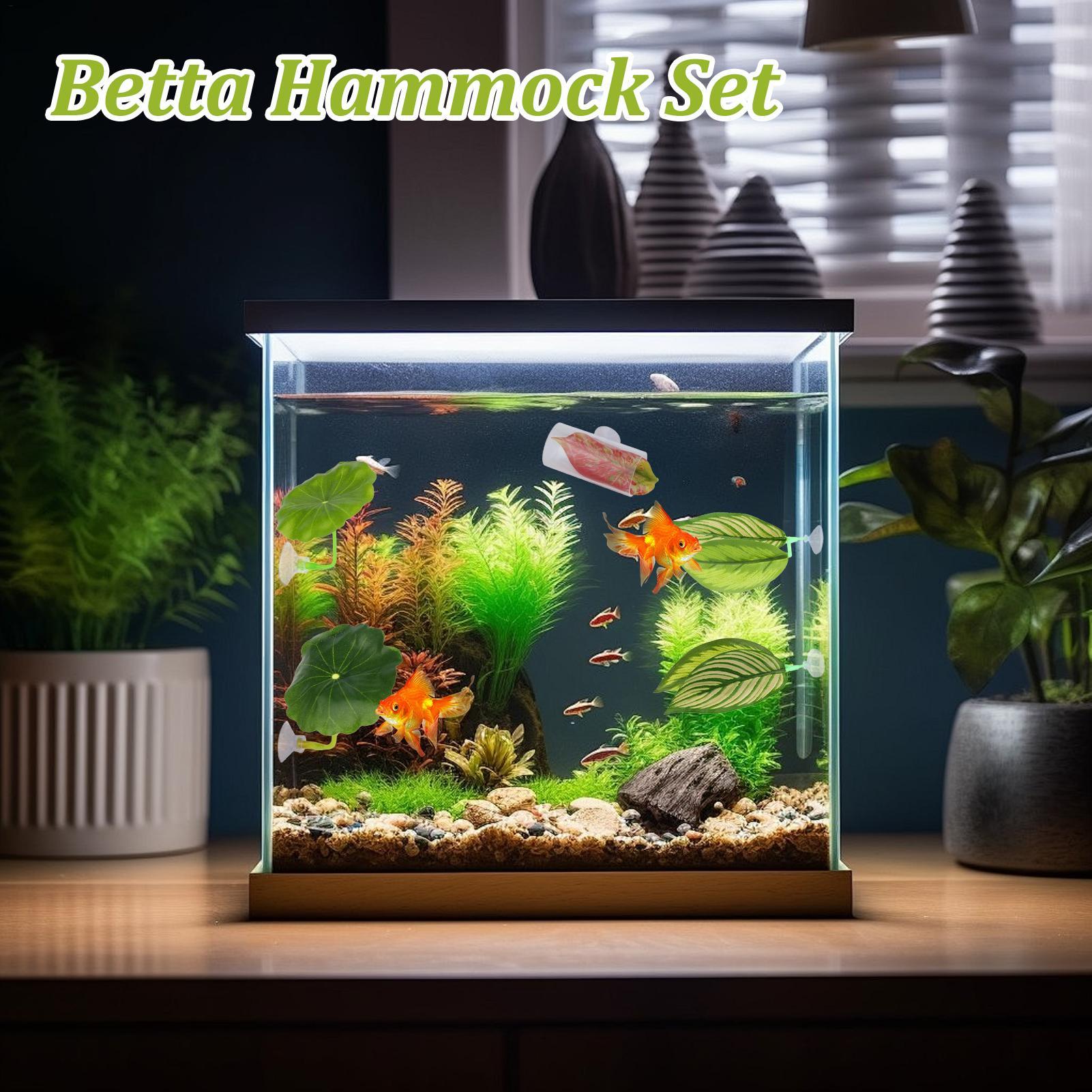 เปลใบไม้สำหรับปลาเบต้า 5 ชิ้น  - Aquarium Fish Betta บทวิจารณ์และราคา