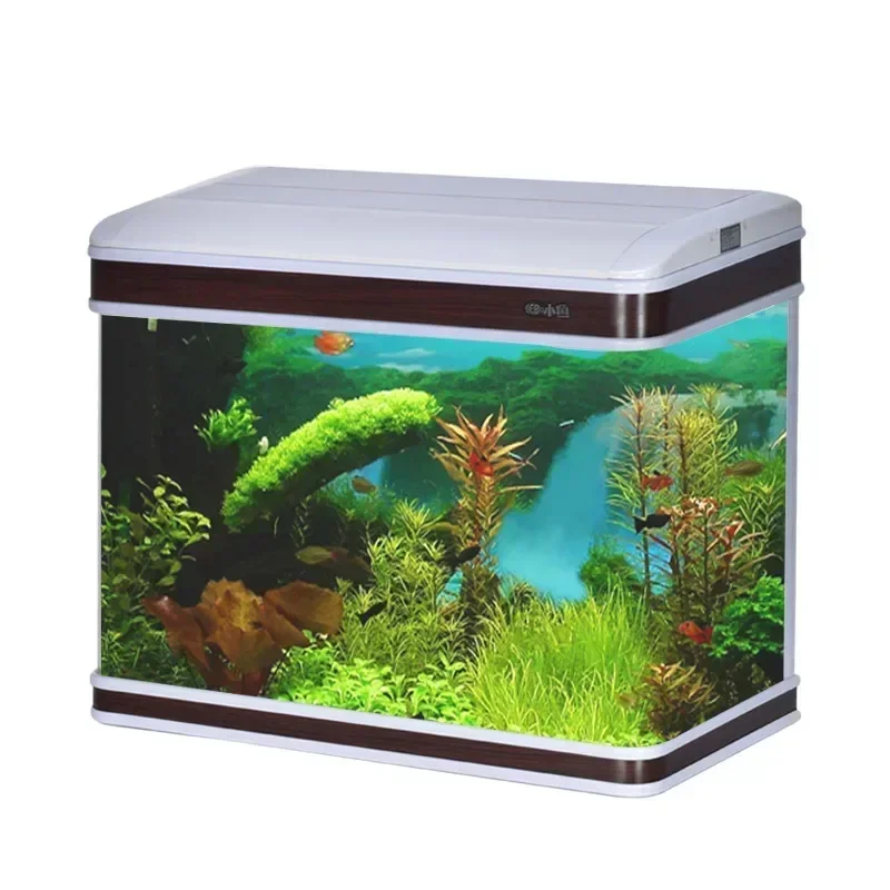 ผู้จัดจำหน่ายอุปกรณ์ตู้ปลา ไฟต - Aquarium Fish Supplier บทวิจารณ์และราคา