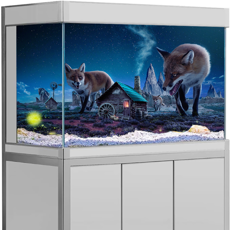 สติกเกอร์พื้นหลังตู้ปลา ลายจิ้ - Aquarium Fish Poster บทวิจารณ์และราคา