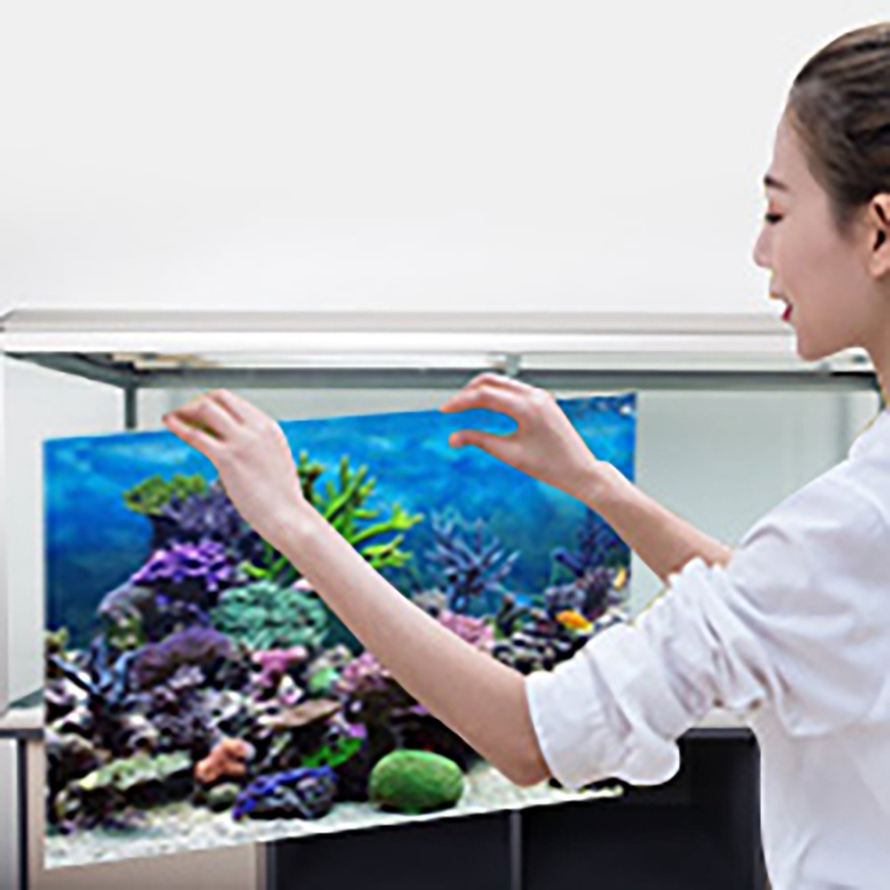 สติ๊กเกอร์ติดผนังตู้ปลา PVC แบ - Aquarium Fish Poster บทวิจารณ์และราคา