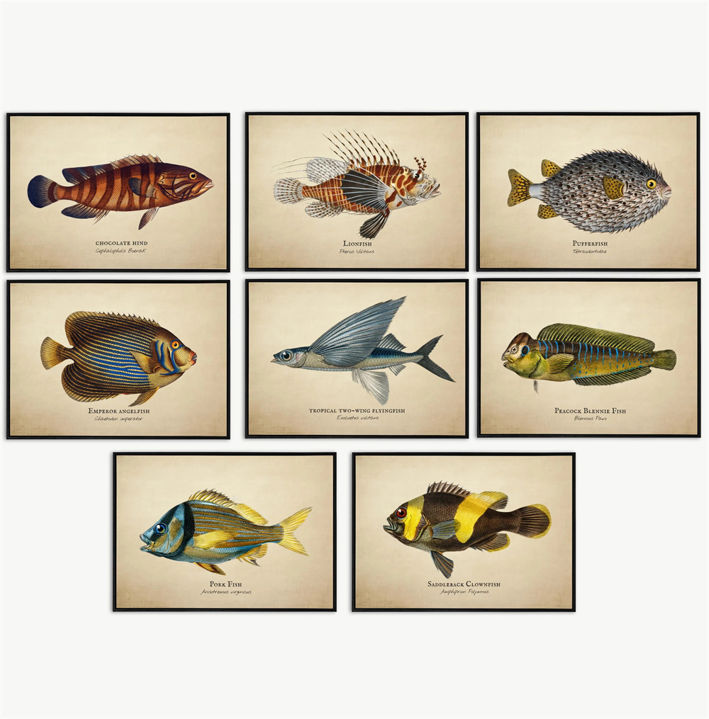 Vintage ภาพ Tropical ปลาแมงกะพ - Fish In Aquarium Picture บทวิจารณ์และราคา