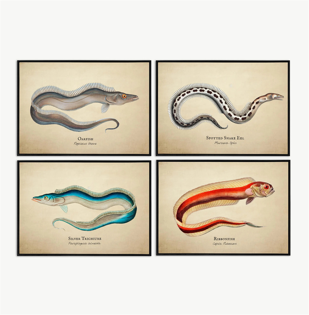 Vintage ภาพ Tropical ปลาแมงกะพ - Fish In Aquarium Picture บทวิจารณ์และราคา