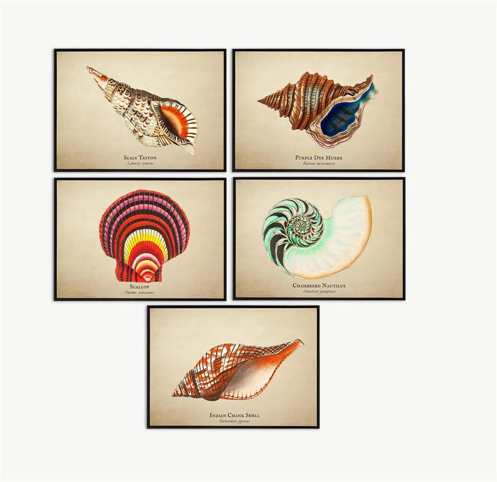 Vintage ภาพ Tropical ปลาแมงกะพ - Fish In Aquarium Picture บทวิจารณ์และราคา