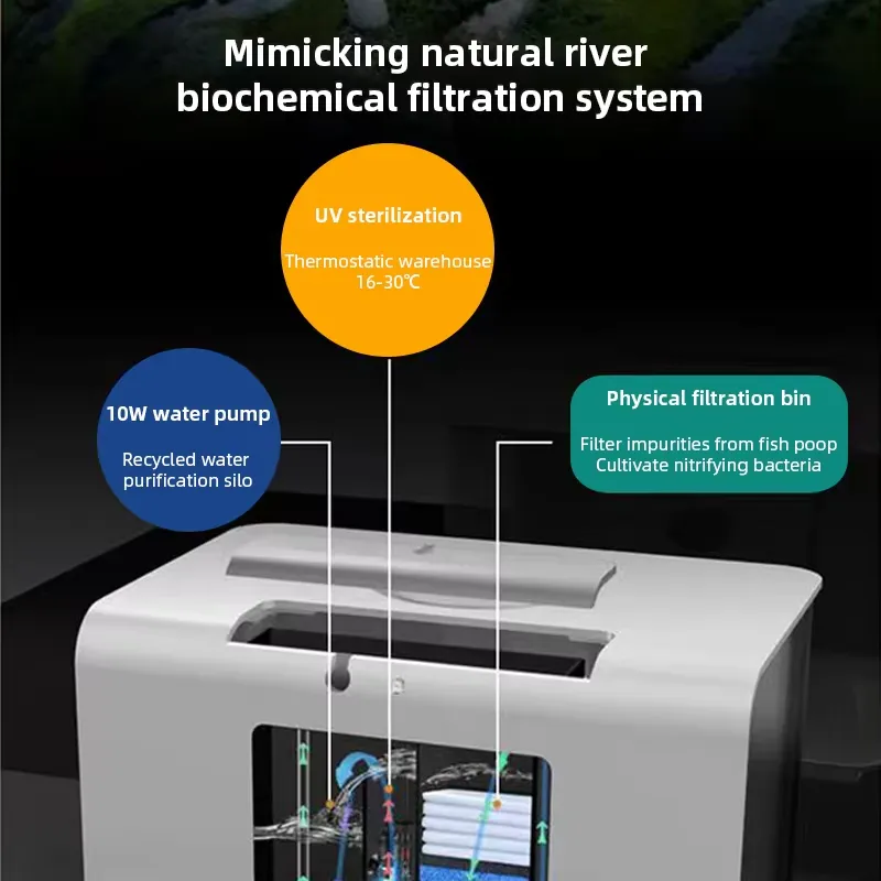 ตู้ปลาขนาดเล็กสำหรับห้องนั่งเล - Aquarium Fish Supplier บทวิจารณ์และราคา