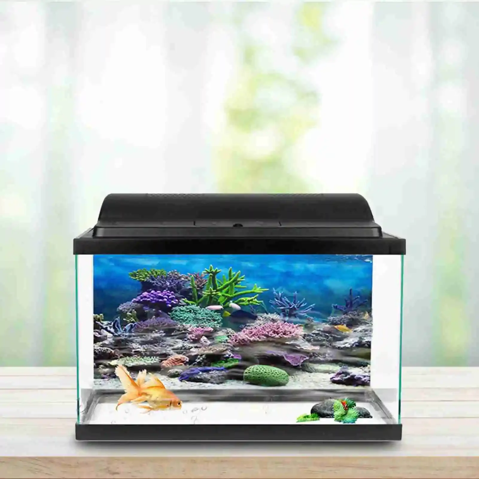 โปสเตอร์แนวนอนลายพิพิธภัณฑ์สัต - Aquarium Fish Poster บทวิจารณ์และราคา
