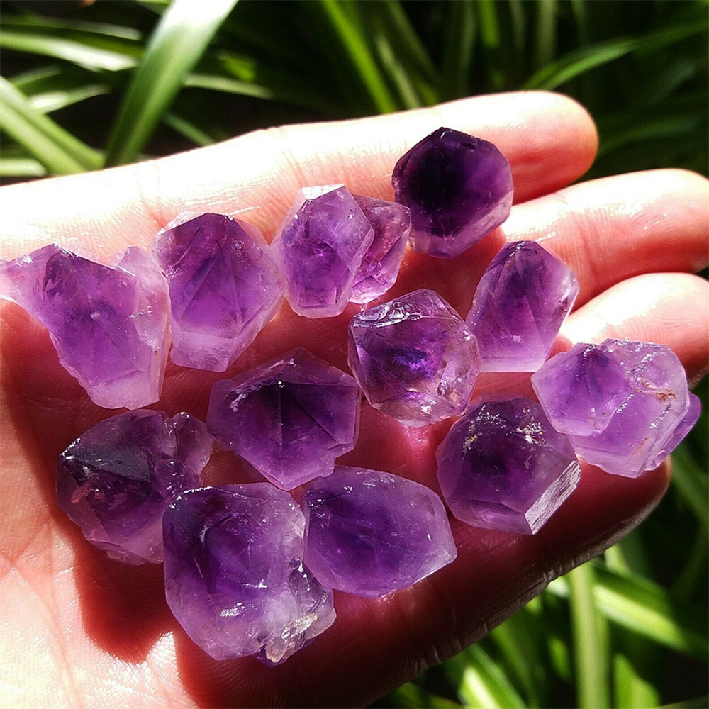 ธรรมชาติที่ไม่ซ้ำกัน Lavender  - Aquarium Fish Unique บทวิจารณ์และราคา