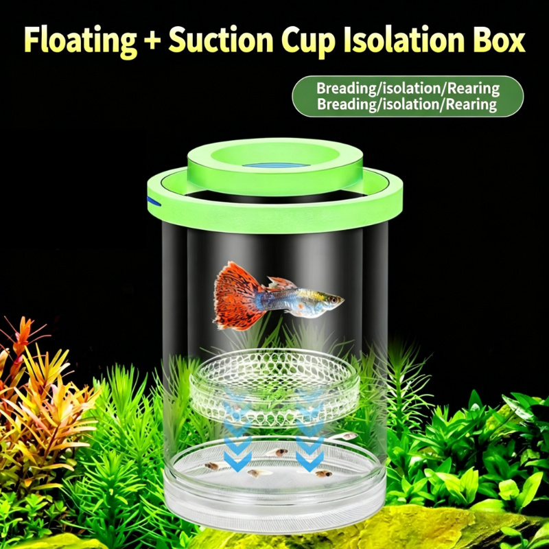กล่องเพาะพันธุ์ปลาแบบโปร่งใสลอ - Aquarium Fish Betta บทวิจารณ์และราคา
