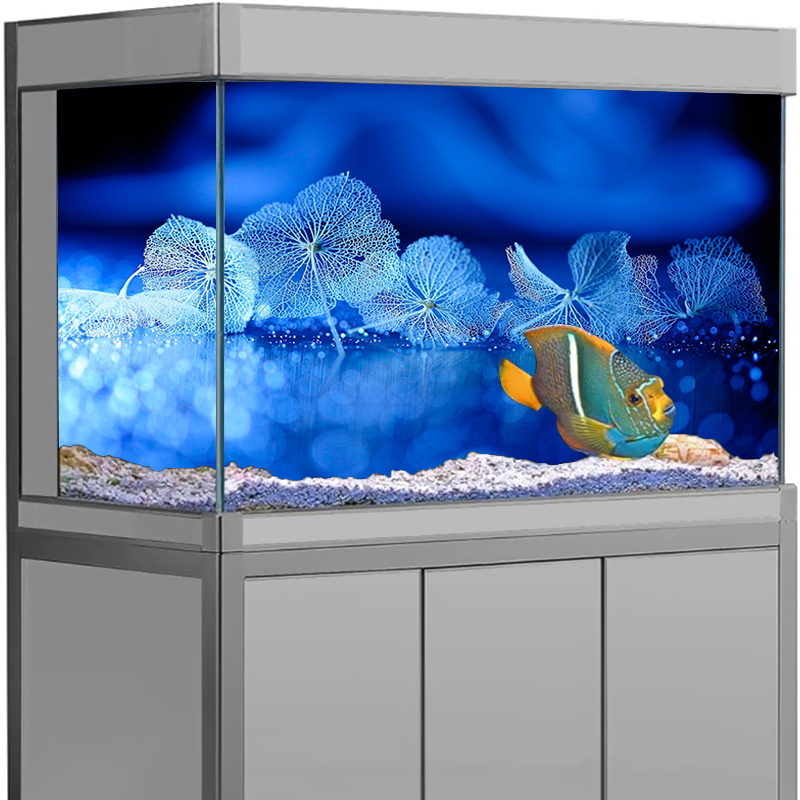 สติ๊กเกอร์ตกแต่งตู้ปลา พื้นหลั - Aquarium Fish Poster บทวิจารณ์และราคา