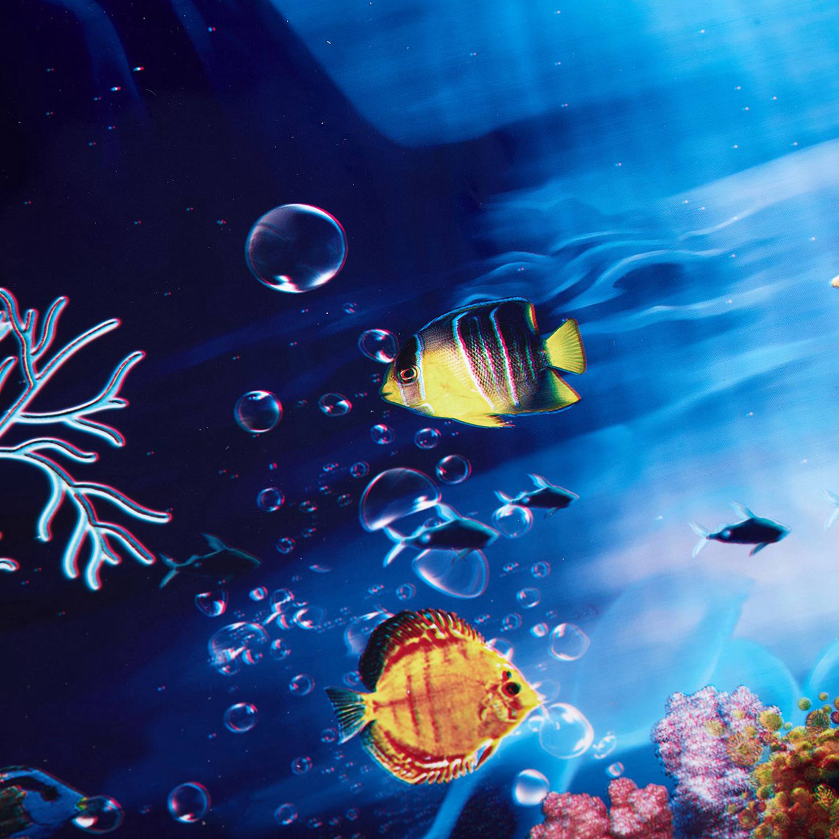 2X ฉากหลังทะเลสีฟ้าสดใส โปสเตอ - Aquarium Fish Poster บทวิจารณ์และราคา