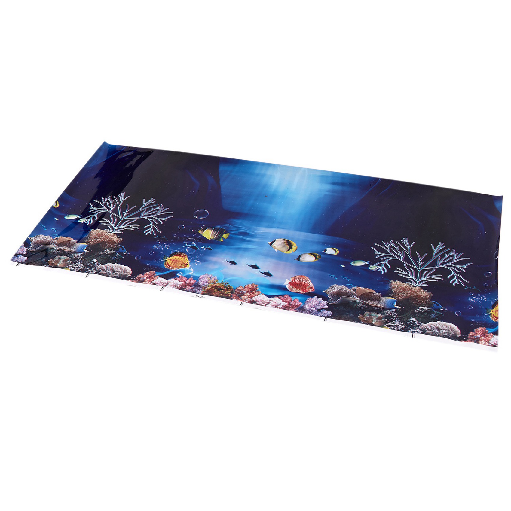 2X ฉากหลังทะเลสีฟ้าสดใส โปสเตอ - Aquarium Fish Poster บทวิจารณ์และราคา