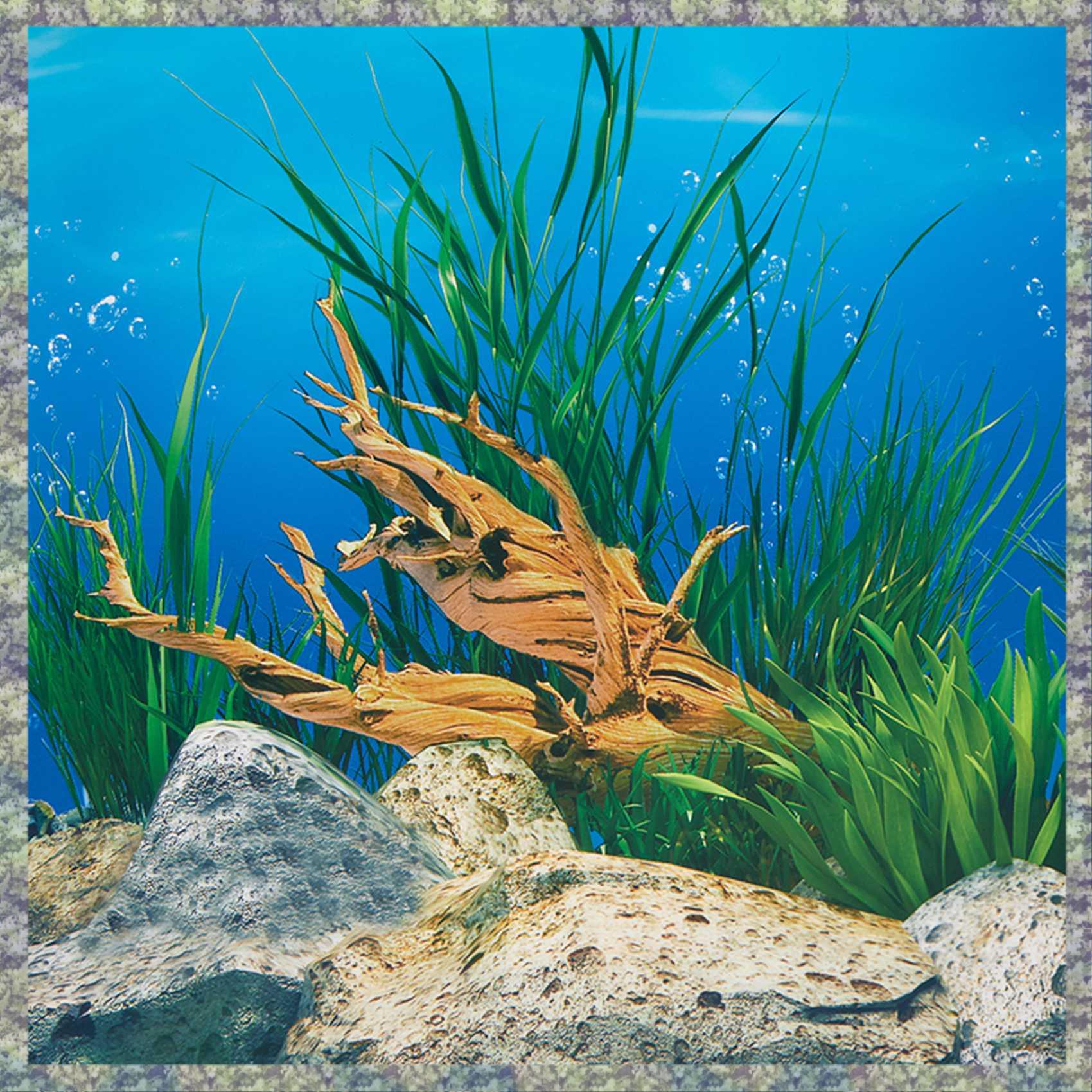 WON Aquarium พื้นหลังกระดาษ HD - Fish In Aquarium Picture บทวิจารณ์และราคา